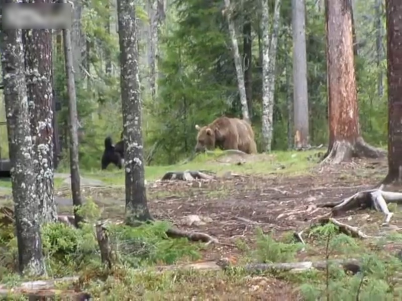 Nq6wzhnrwJuMIvL1395535862