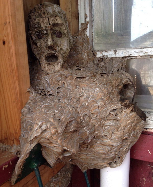 1398260553_1307085207