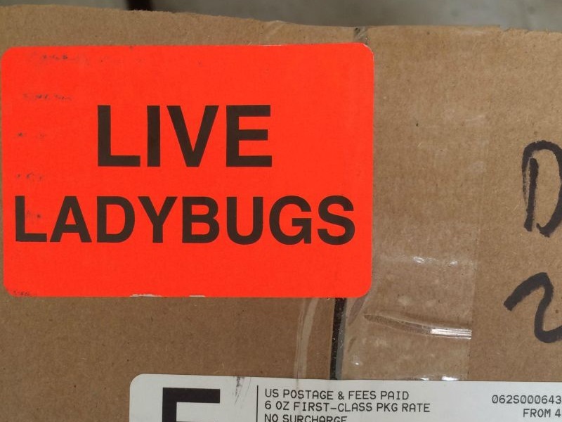 4BBUyk1Pens8l8Q1396577436