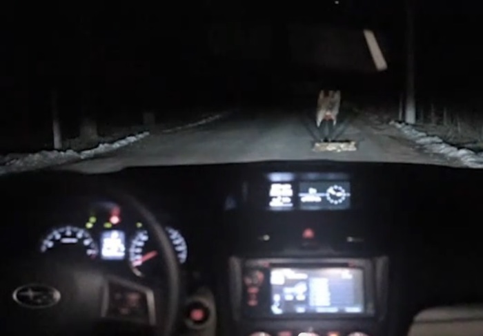 GoUJzpqzjBaSvzJ1398333398_1398333403