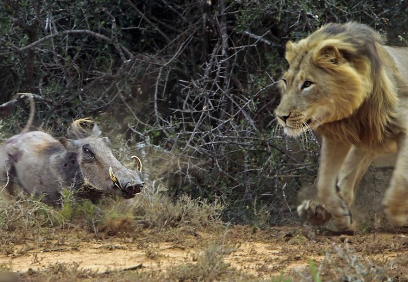 TfsLy_AALWlRsIV1398399276