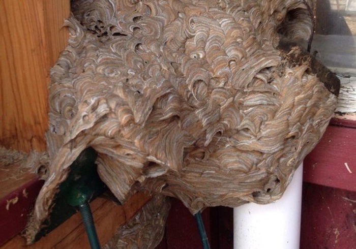 YYEkGpG5DBJcb2K1398324853_1398324858