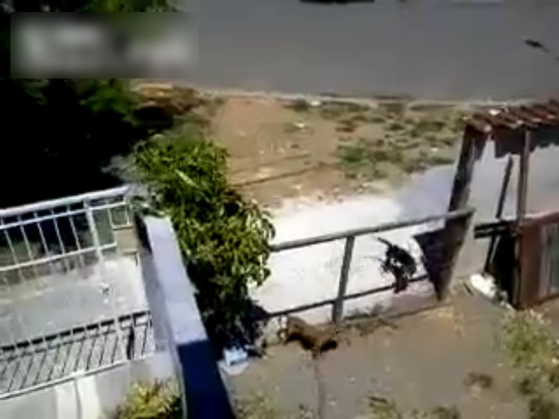 【動画】とあるセ○クスの映像が監視カメラで撮影され話題に