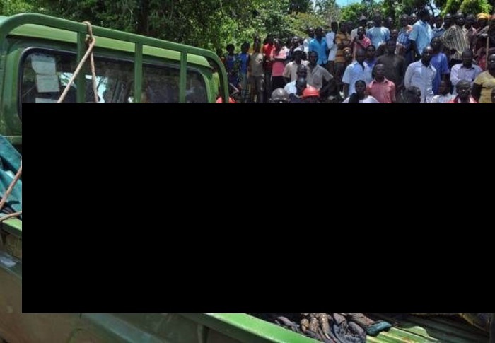 a4ZVqMi3CY9ldb31396680697