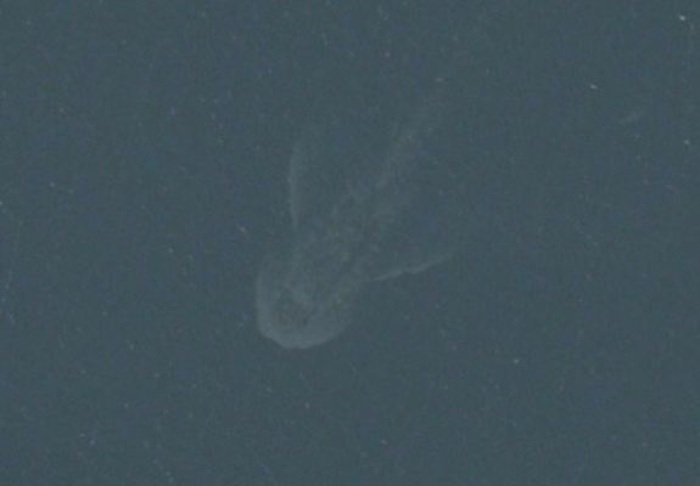 n8wZ5sO8wAzdN_R1398063964_1398063968