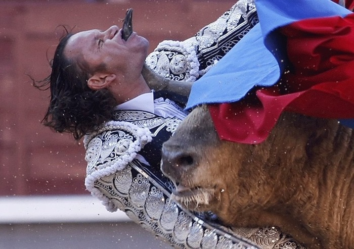 GA_1JeMx9xE9GmE1399702473_1399702479