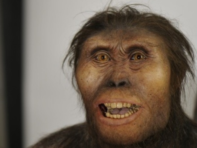 YfkOxrGRzizpKhH1401362225