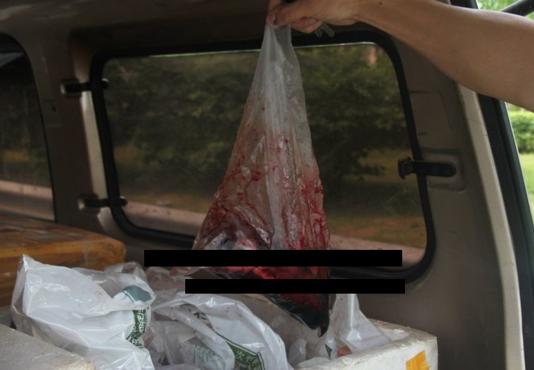 iGxZSGENTAE2iYs1401357466