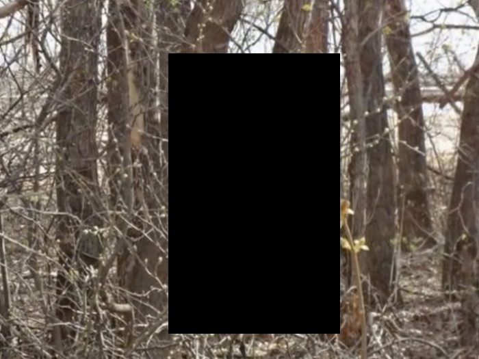 1jWh1iqLEHvTb1V1412209181