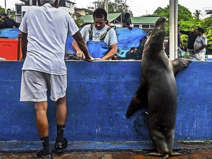 PWRJTbtBh8beWlg1415076483_1415076486