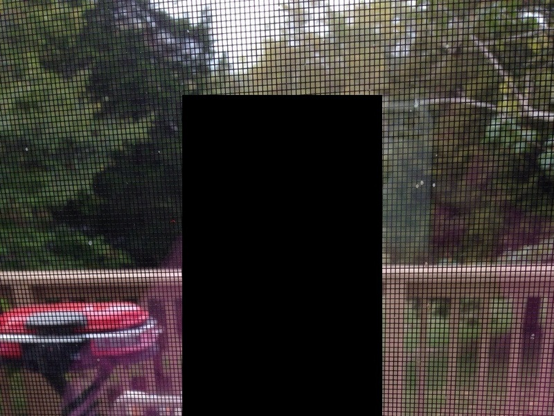 Py0PFiVU2pqOgN01415530263