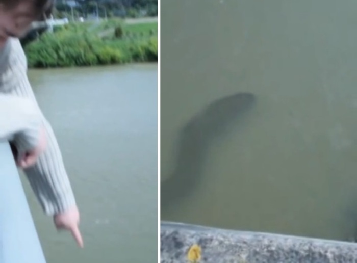 awMfvtQWI12qzIt1415606133_1415606137