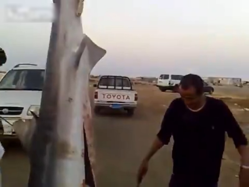 dGq2rp3o3F76ruo1415581237