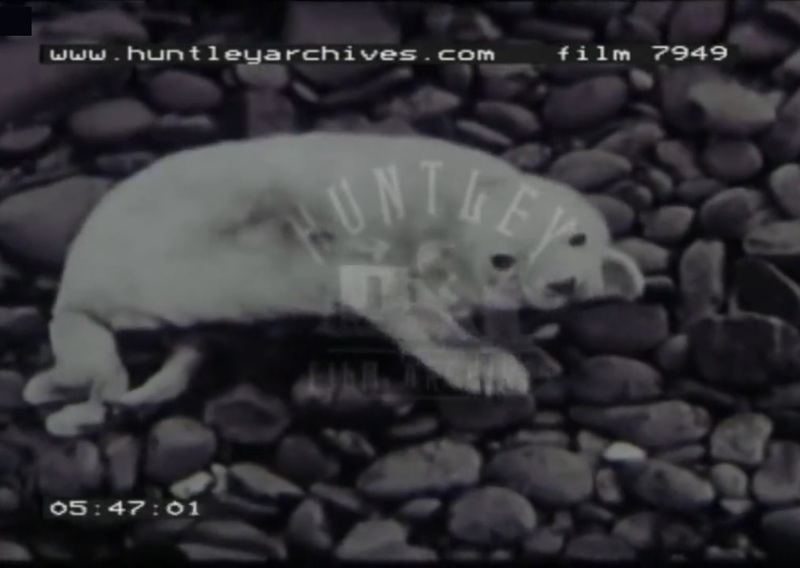 MalhhcgAIA1O6xF1418352592