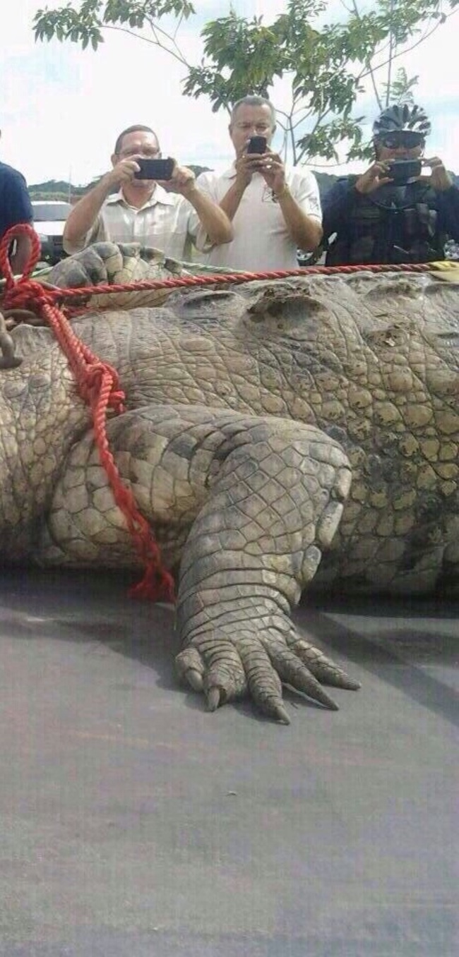 MnCFEus7CuK_n4Z1418778461_1418778466