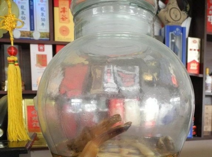 【閲覧注意】これは飲めない。中国のお酒の瓶に入っていたもの