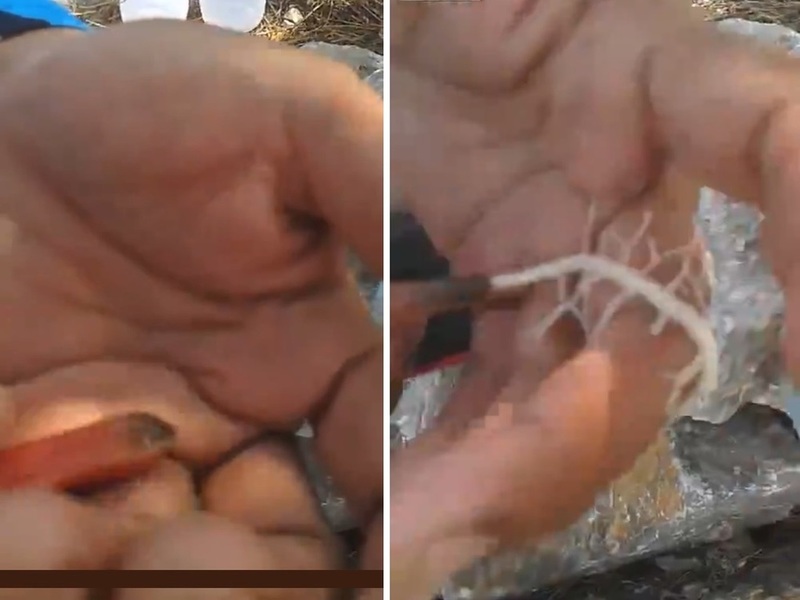 i496lj1YGGEKFha1418605694_1418605706