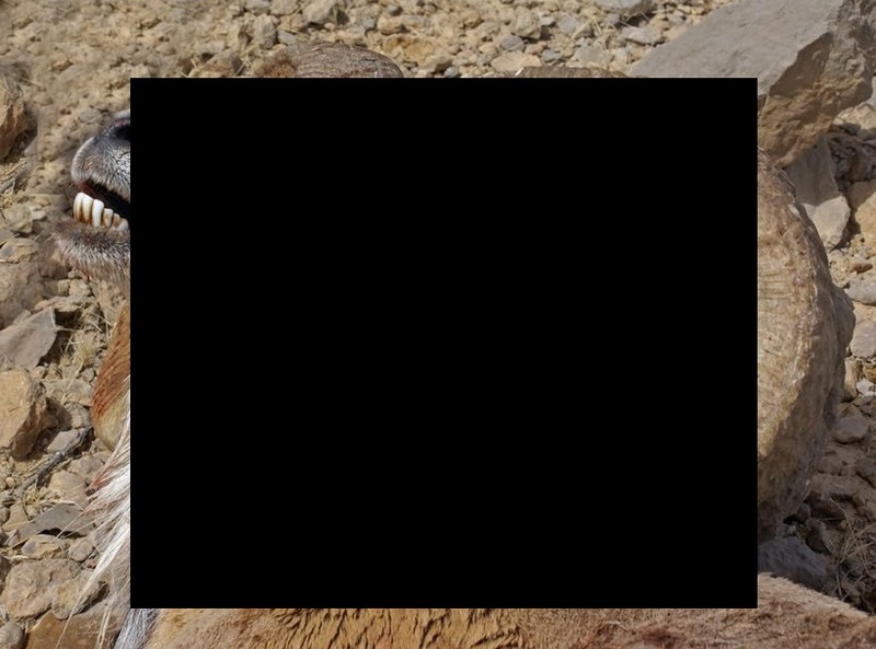 xD7Kcj76krO4cLz1418439728