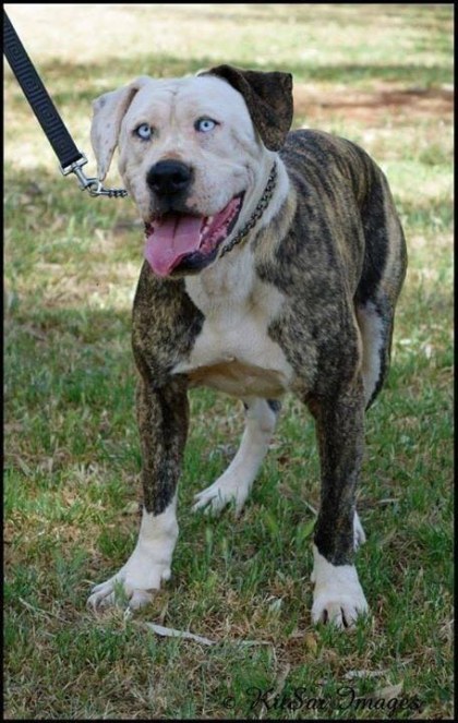 looks_exactly_like_01