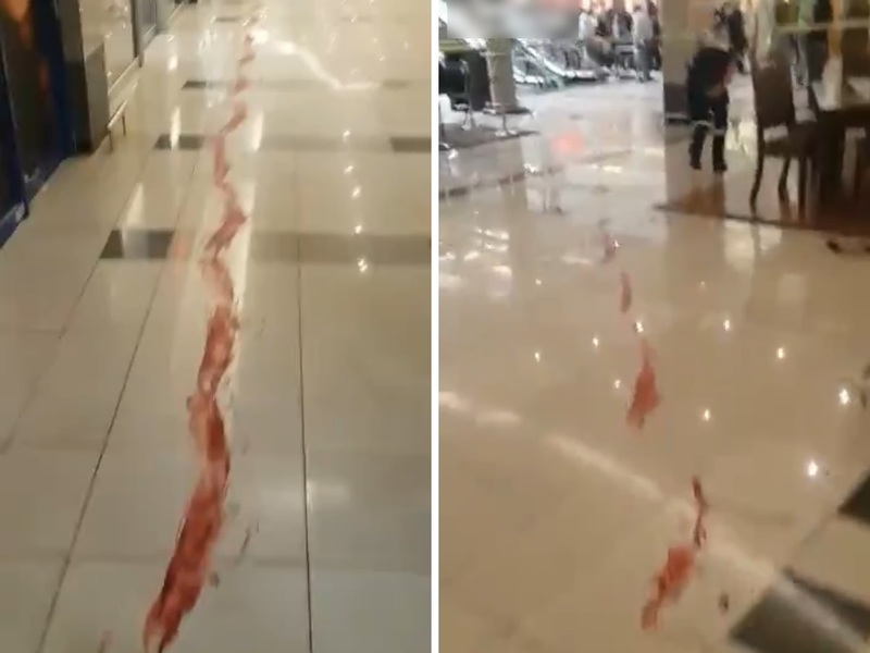 XAIc0jbLv5c5VhE1423470806