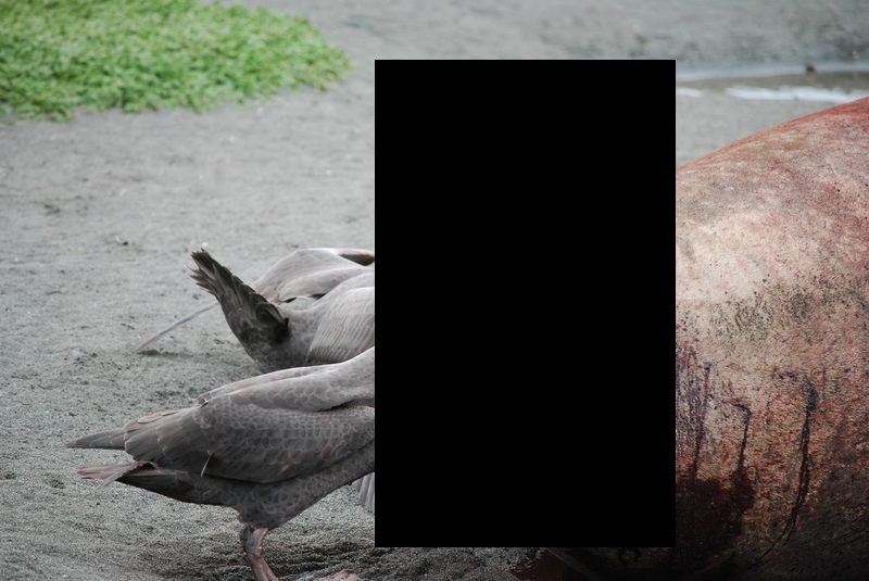 XCIoBCChCUszh8V1424943054