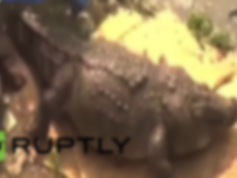 atfxQbwXvxofZJM1424059062_1424059134