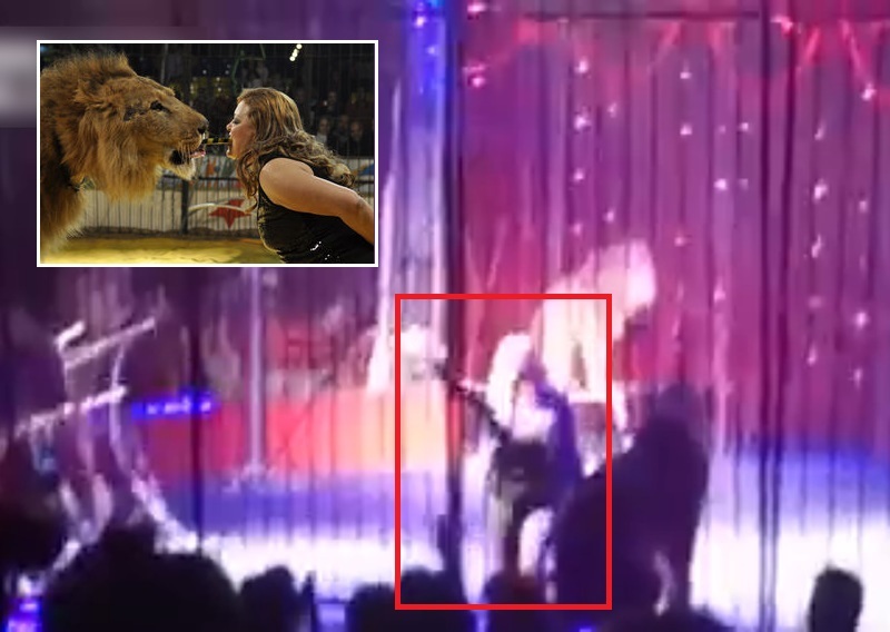 bqAIb3yyS_sd79b1423370211