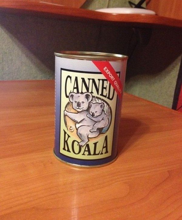 canned_koala_01