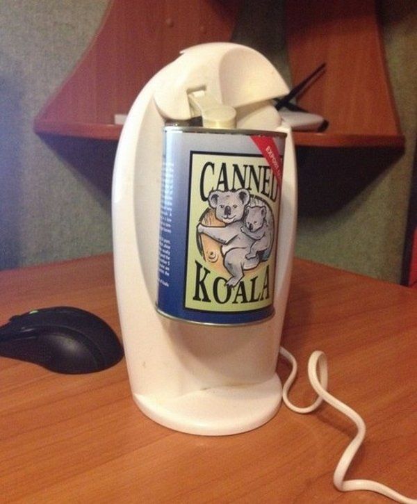 canned_koala_02