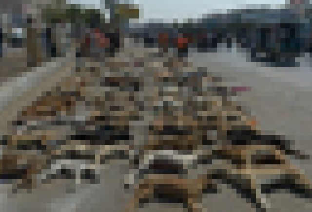 kako-7g2rK0OKtlDB4J6g