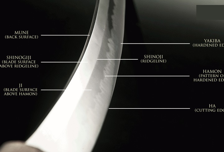 3f2THxYx5APuA6L1429322071