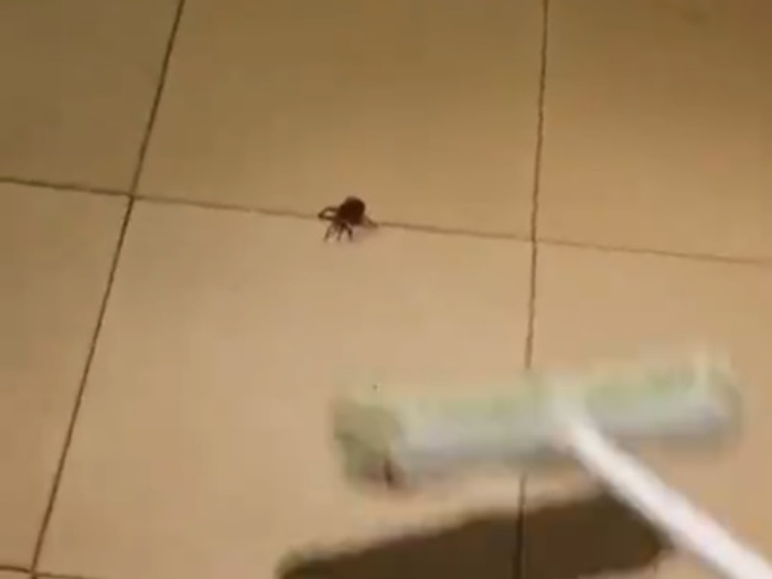 44n1Vcm5XWlxaHF1429615101_1429615109