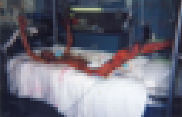 kako-PIh3VSjafnp6o5ts