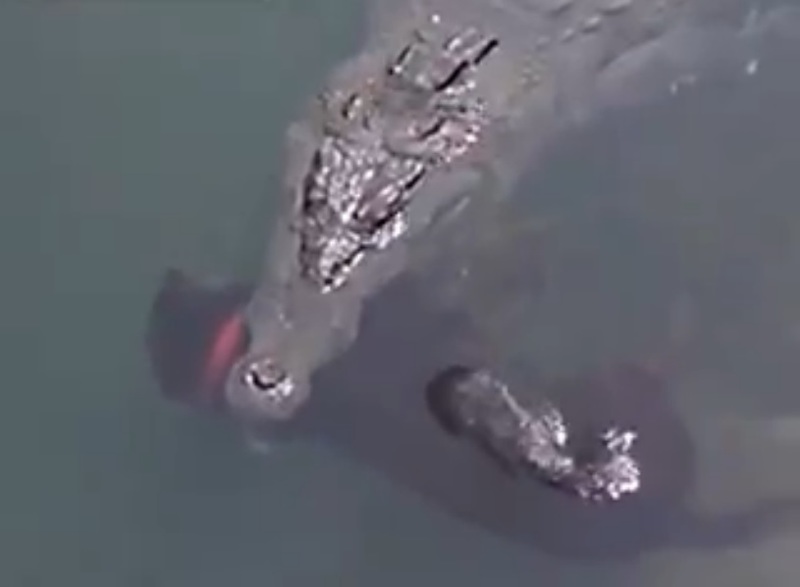 qC8EMBzC01oA9901428201827