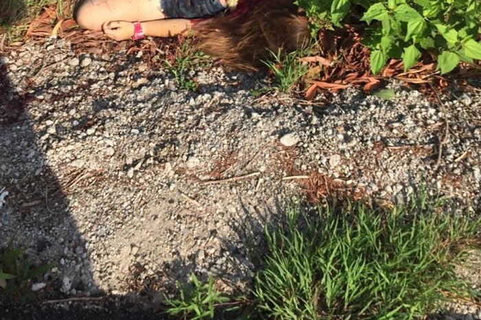 vbyoGLrqvBUWXyQ1429096443