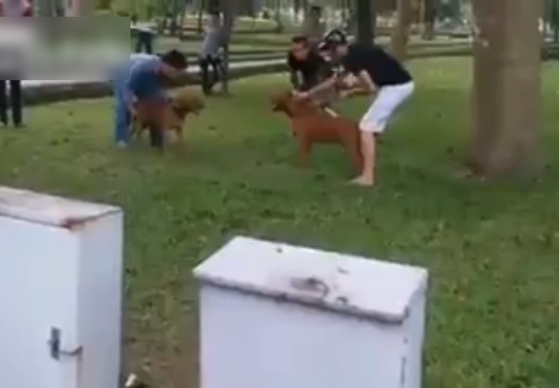 yXbjnc6dkzBIwx91429319631_1429319641