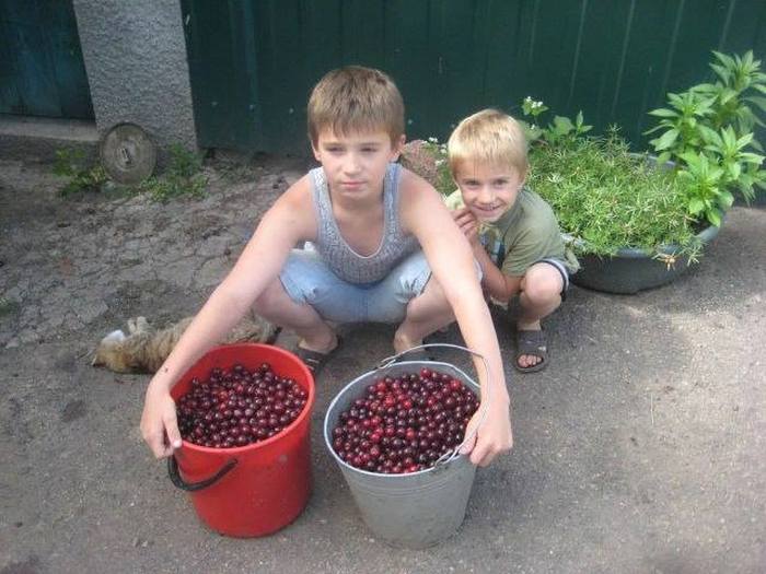 【閲覧注意】サッカーをしていた5歳の子供とその弟、恐ろしい結末