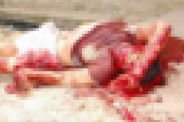 kako-WxNAGRz8zsAjGH0d