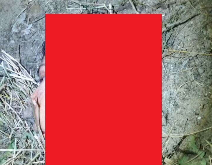 【超！閲覧注意】ブラジルの刑務所からマジでヤバい画像が届いた