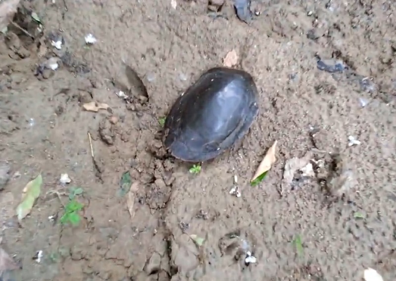 EukbTXAHMBtK8rl1433740993