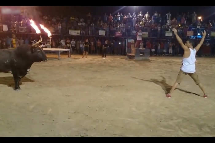 OQNsZ8jmRylM0aI1436708388_1436708393