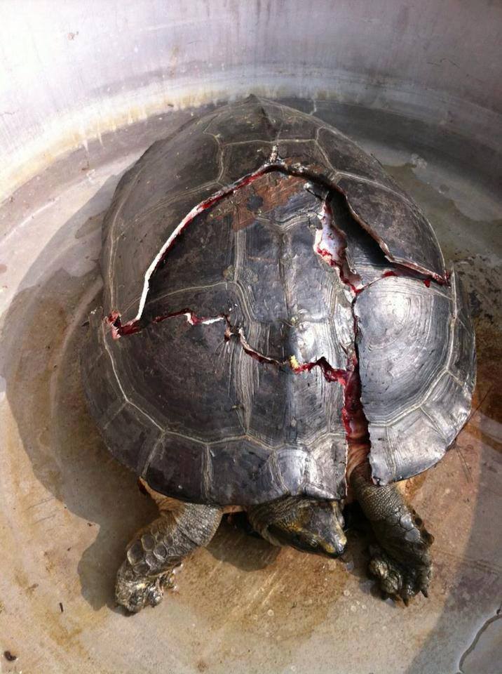 1383113386-7636771226-o