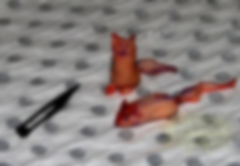 ON1g42v6h_oJ_sL1438735454_1438735469