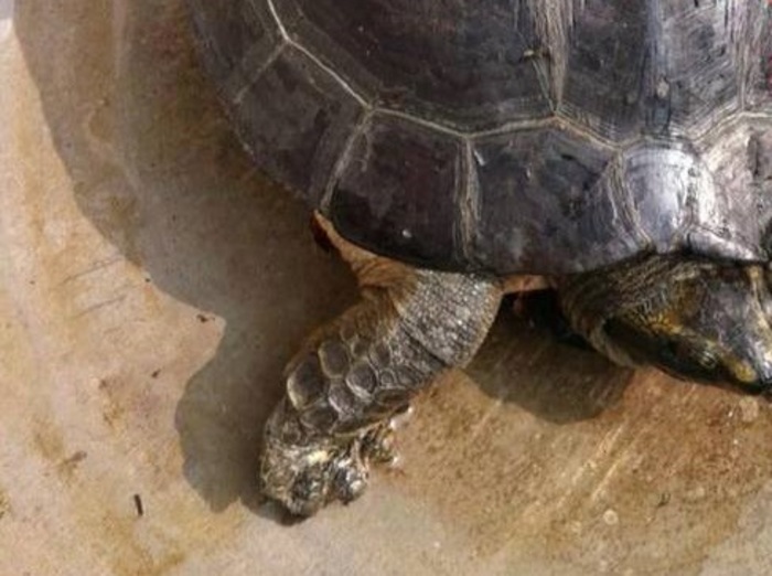 V8UiN19XDQsrG_o1438735816_1438735820