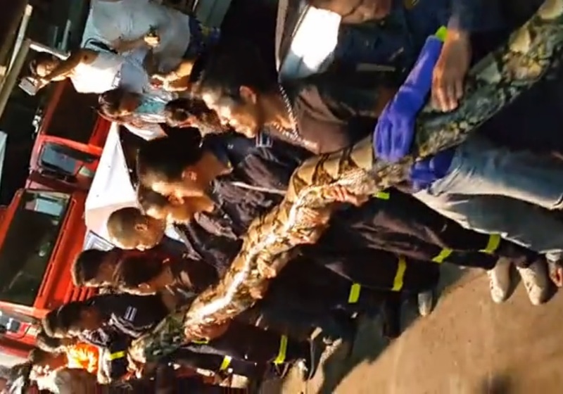 Ve6TQDZIBf9HQmE1439960683