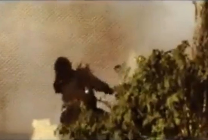 hflm5YIYRe8C0P11438734015