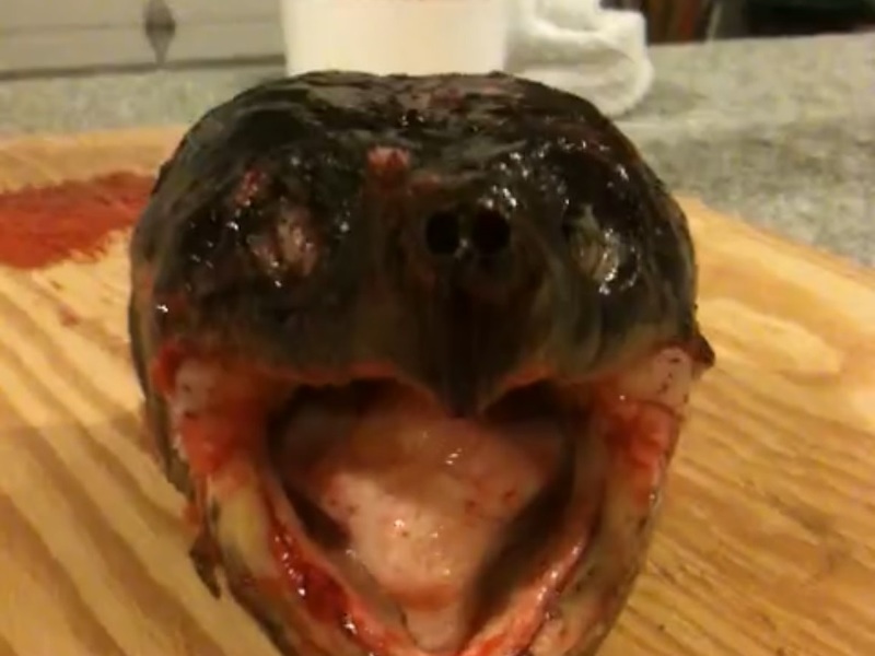 KHSjgOQbA8kX0pY1441083565