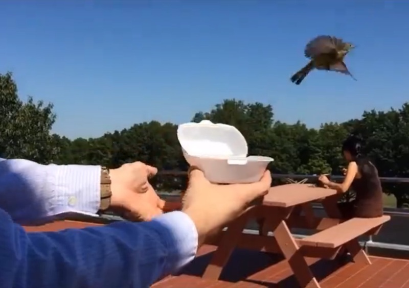 eJmqZdCq5zdu2tp1442571449