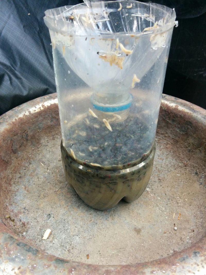 jeffektivnaja-muholovka_02