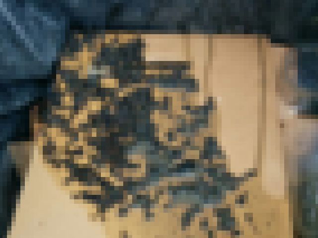 kako-GxXi556gWGFo2NdN